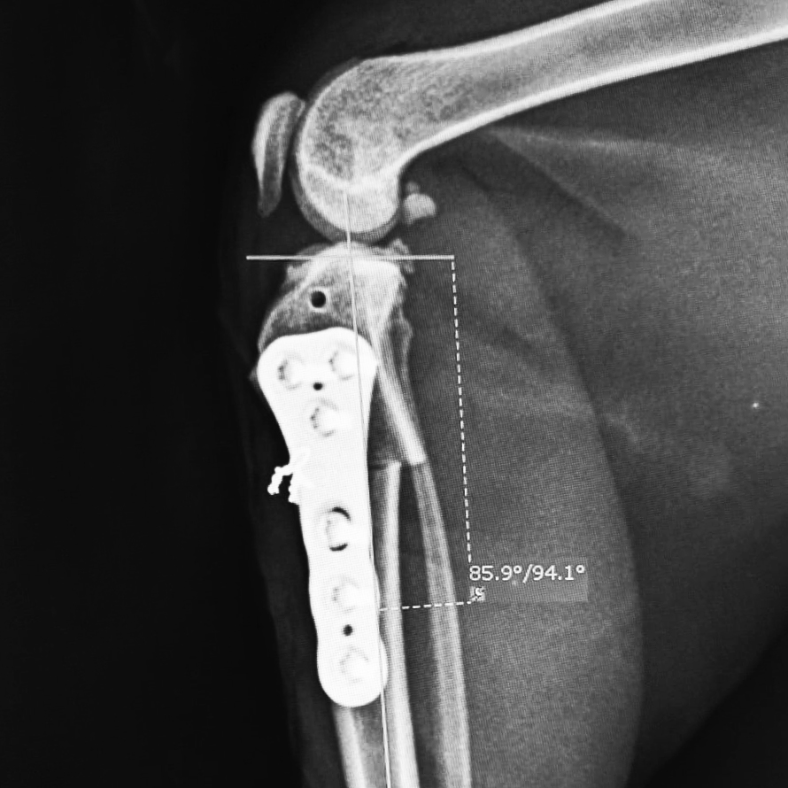 Schmoekel_Ditte_Heblinski - 3