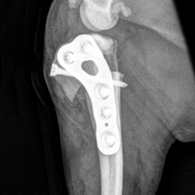 O_KNEE_20210218_114739 (CBLO 2.0)1x_JPG