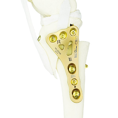 CBLO_Sawbone@0.5x_JPG