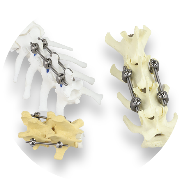 Titanium for Optimal Biocompatibility