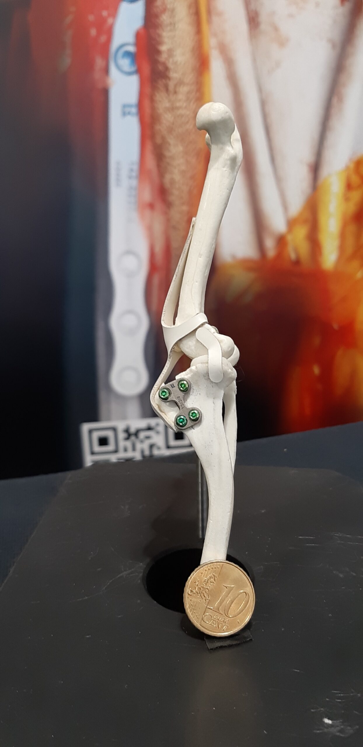 20191114_172407_resized_1