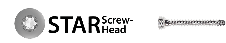 Locking Screw Stainless Steel