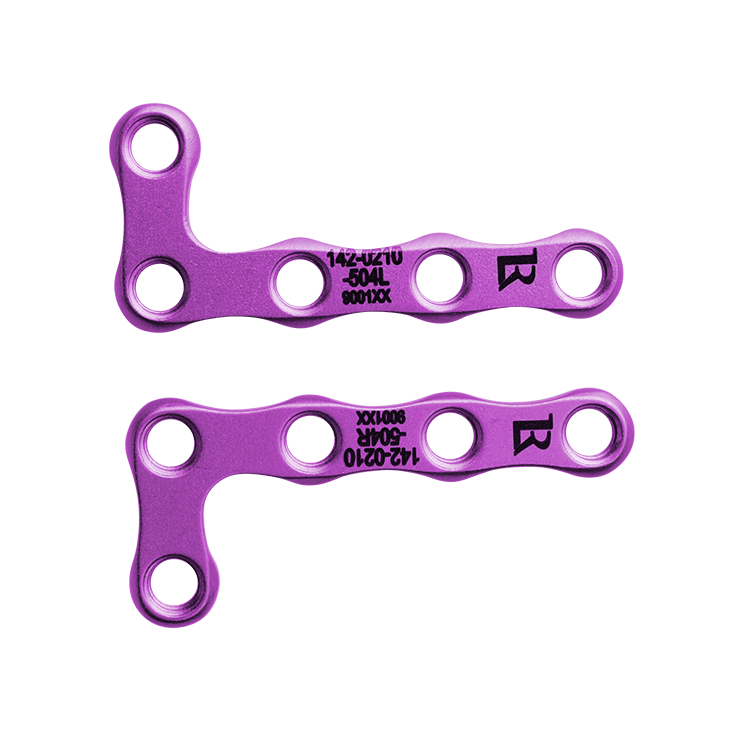 142-0210-504LR_0.25x_PNG