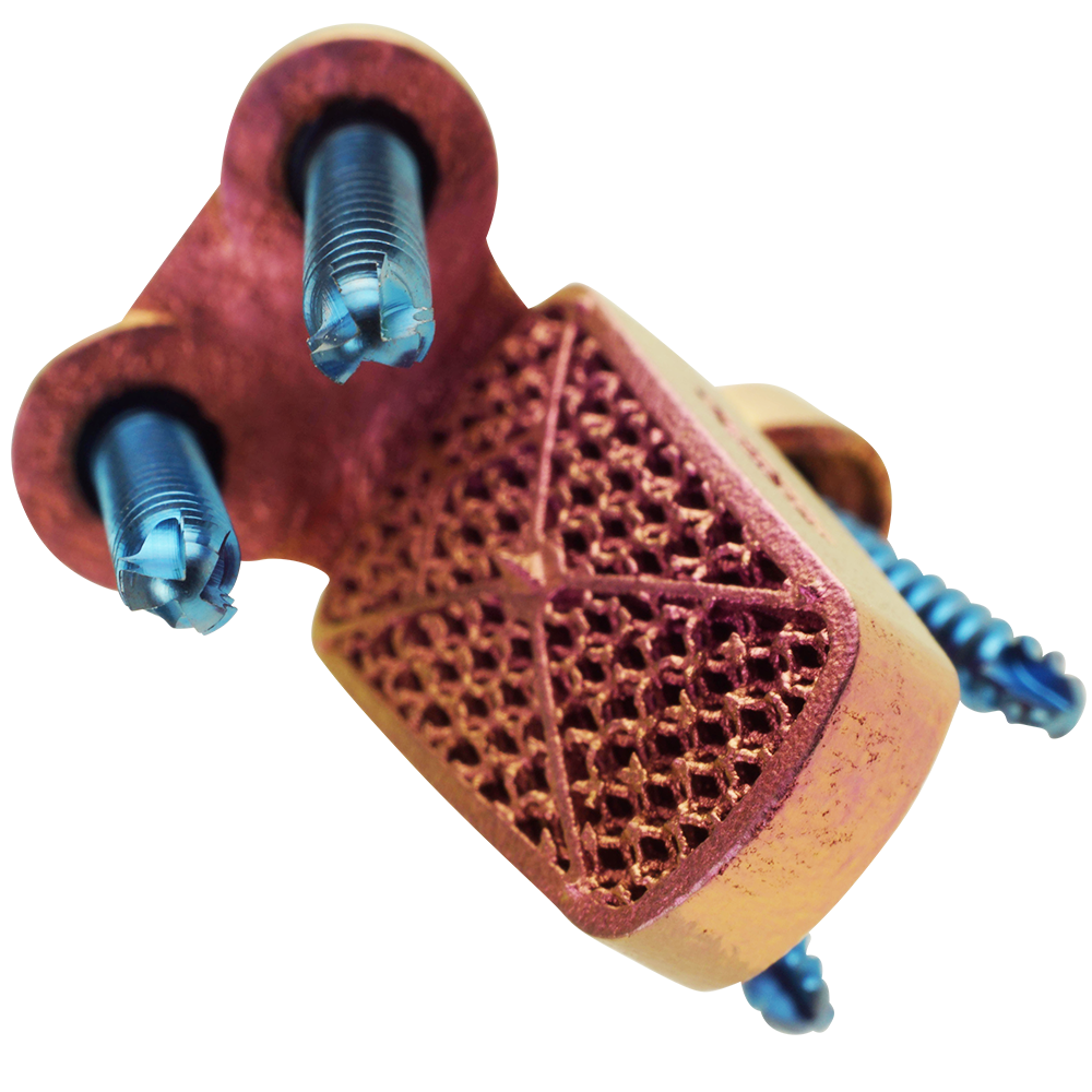 134-0206-12_0.25x_PNG