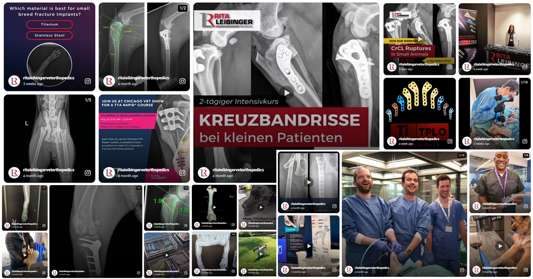 IG Feed ritaleibingervetorthopedics