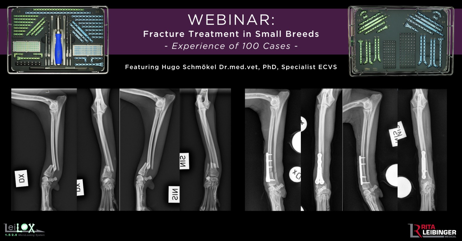 WhatsApp Image 2021-03-25 at 16.40.29