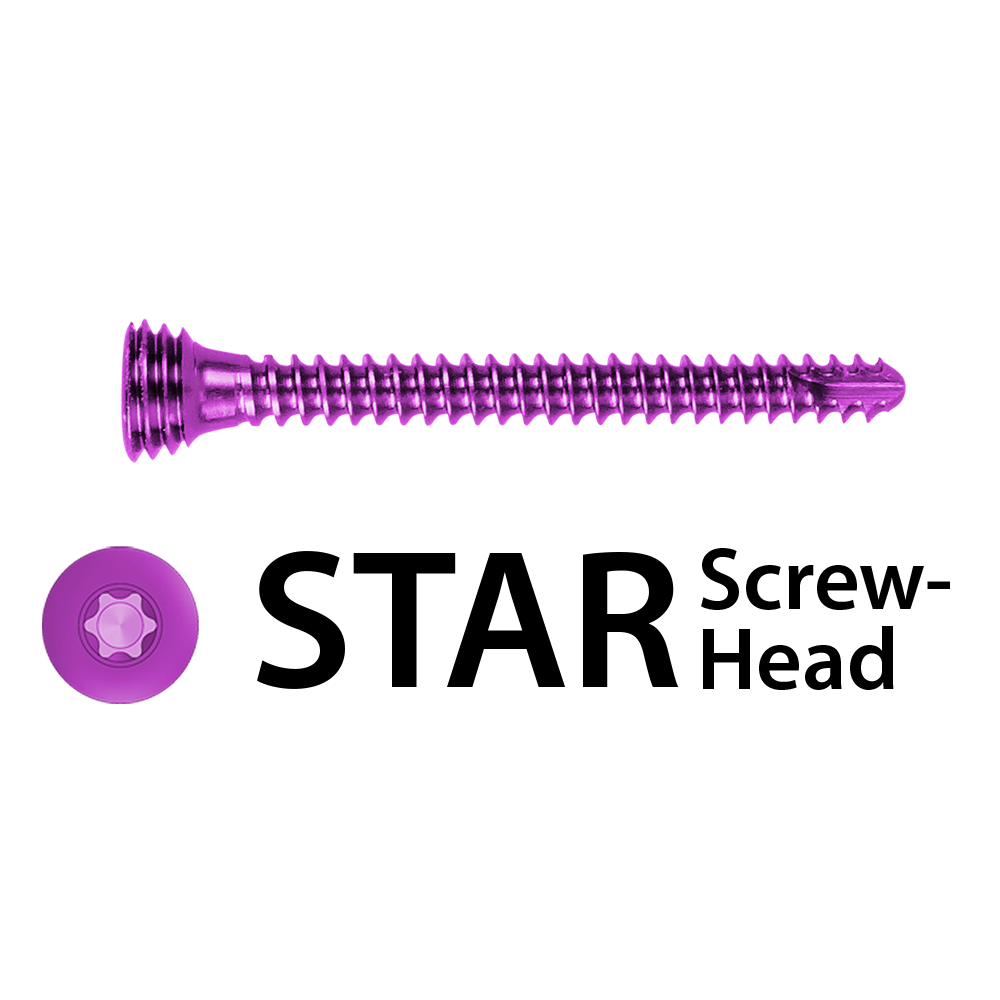 245-410_xx_PNG_0,5x_sq