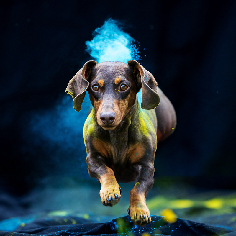 Siri Holi Shooting 2 18.07.23_sq_lowres