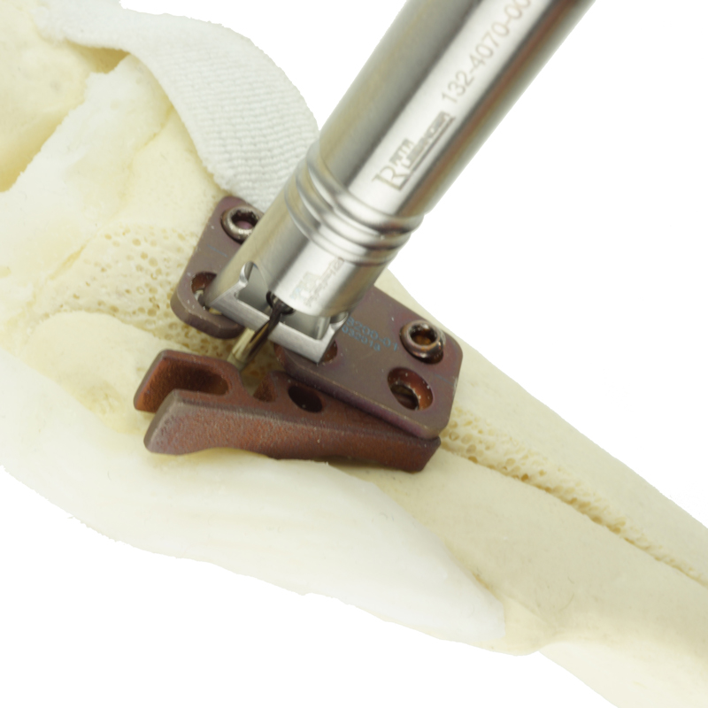 Luxation_ImageBild_square