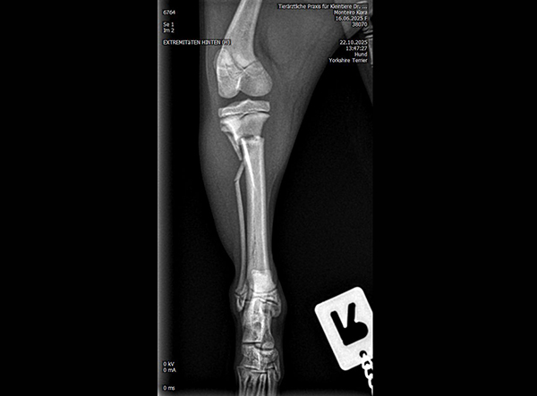 2 - Dr. Weber - 1.5mm RL-TPLO Platte Kopie