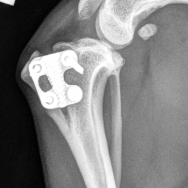 O_KNEE_20200827_1352091x_JPG