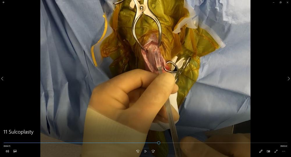 cfa890705bc911cd6371a0f1cdcfae27