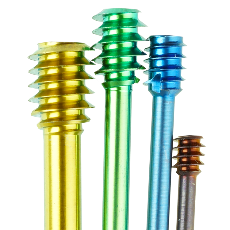 LeiCOM Screws_0,5x_PNG_2